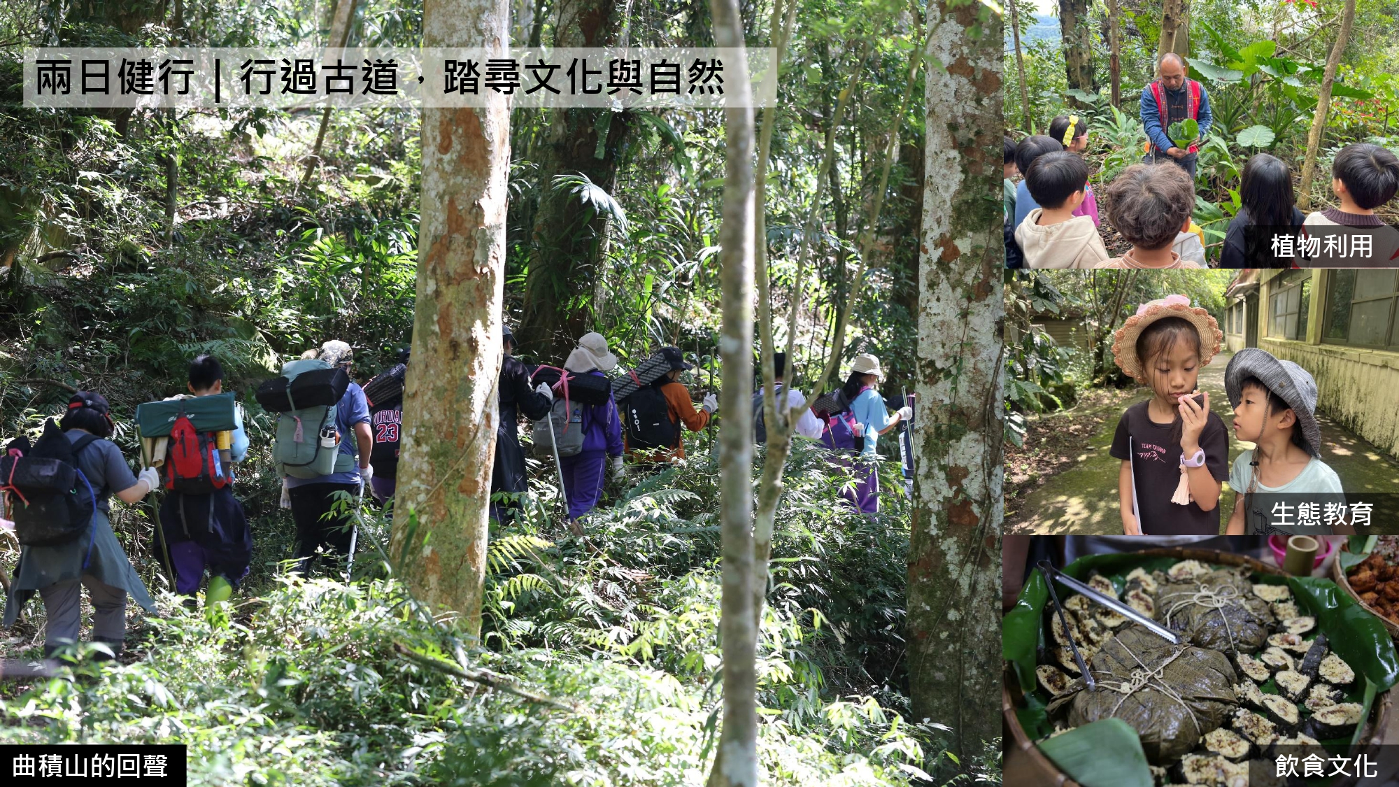 無螫蜂生態導覽